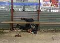 Нажмите на изображение для увеличения.

Название:	Ну-ка, быстро помогите челевоку.jpg
Просмотров:	285
Размер:	114.2 Кб
ID:	3472468