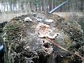 Нажмите на изображение для увеличения.

Название:	2012-04-08 17.48.53.jpg
Просмотров:	1791
Размер:	204.2 Кб
ID:	3472620