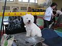 Нажмите на изображение для увеличения.

Название:	IMG_2006.jpg
Просмотров:	223
Размер:	65.4 Кб
ID:	3473862