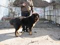 Нажмите на изображение для увеличения.

Название:	IMG_2036.jpg
Просмотров:	207
Размер:	82.4 Кб
ID:	3473872