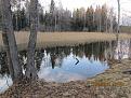 Нажмите на изображение для увеличения.

Название:	IMG_0328.JPG
Просмотров:	712
Размер:	121.2 Кб
ID:	3474321