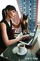 Нажмите на изображение для увеличения.

Название:	1215517398_computer-education-cats-computers-girls_big.jpg
Просмотров:	339
Размер:	45.6 Кб
ID:	3474438