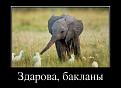 Нажмите на изображение для увеличения.

Название:	demotivatory_09.jpg
Просмотров:	1610
Размер:	41.5 Кб
ID:	3474584