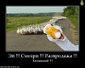 Нажмите на изображение для увеличения.

Название:	1329426401_poster_3094.jpeg
Просмотров:	1355
Размер:	32.6 Кб
ID:	3474654