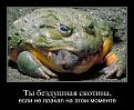 Нажмите на изображение для увеличения.

Название:	prpcxoxynita.jpg
Просмотров:	1396
Размер:	61.1 Кб
ID:	3474697