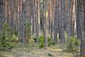 Нажмите на изображение для увеличения.

Название:	_DSC0099.JPG
Просмотров:	649
Размер:	132.8 Кб
ID:	3475296