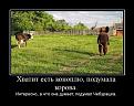 Нажмите на изображение для увеличения.

Название:	demotivatory_22.jpg
Просмотров:	1457
Размер:	76.2 Кб
ID:	3475679