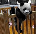 Нажмите на изображение для увеличения.

Название:	49b65736f9123c3f5679c3193a98ab39.jpg
Просмотров:	307
Размер:	181.0 Кб
ID:	3475883