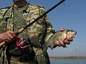 Нажмите на изображение для увеличения.

Название:	IMG_2776.jpg
Просмотров:	782
Размер:	83.5 Кб
ID:	3475970