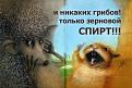 Нажмите на изображение для увеличения.

Название:	1284373830_podborka_21.jpg
Просмотров:	371
Размер:	59.9 Кб
ID:	3476637