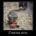 Нажмите на изображение для увеличения.

Название:	demotivatory_21.jpg
Просмотров:	1306
Размер:	90.2 Кб
ID:	3476732