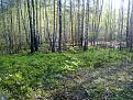 Нажмите на изображение для увеличения.

Название:	05052012700.jpg
Просмотров:	1716
Размер:	206.5 Кб
ID:	3477398
