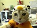 Нажмите на изображение для увеличения.

Название:	normal_5665065.jpg
Просмотров:	327
Размер:	160.4 Кб
ID:	3477870