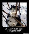 Нажмите на изображение для увеличения.

Название:	getImage (15).jpg
Просмотров:	1000
Размер:	41.5 Кб
ID:	3477977