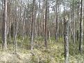 Нажмите на изображение для увеличения.

Название:	P120512_1020.jpg
Просмотров:	657
Размер:	214.3 Кб
ID:	3482689