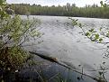 Нажмите на изображение для увеличения.

Название:	P120512_0957.jpg
Просмотров:	613
Размер:	199.4 Кб
ID:	3482690