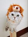 Нажмите на изображение для увеличения.

Название:	normal_11065833.jpg
Просмотров:	297
Размер:	125.9 Кб
ID:	3483026