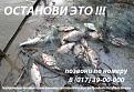 Нажмите на изображение для увеличения.

Название:	плакат.jpg
Просмотров:	1319
Размер:	46.2 Кб
ID:	3483052
