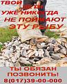 Нажмите на изображение для увеличения.

Название:	брак.jpg
Просмотров:	1284
Размер:	58.4 Кб
ID:	3483148