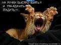 Нажмите на изображение для увеличения.

Название:	1252992941_hiop.ru_1252191524_kotomatrix_73.jpg
Просмотров:	280
Размер:	47.8 Кб
ID:	3483450