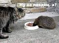 Нажмите на изображение для увеличения.

Название:	s3img_640339_38_0.jpg
Просмотров:	281
Размер:	30.0 Кб
ID:	3483479