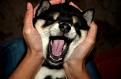 Нажмите на изображение для увеличения.

Название:	1306229300_acid_picdump_15.jpg
Просмотров:	289
Размер:	33.2 Кб
ID:	3483500