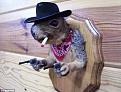 Нажмите на изображение для увеличения.

Название:	taxidermy-3.jpg
Просмотров:	405
Размер:	38.1 Кб
ID:	3483631