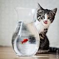 Нажмите на изображение для увеличения.

Название:	1321437455_1321381990_these_funny_animals_841_01.jpg
Просмотров:	233
Размер:	48.2 Кб
ID:	3483874