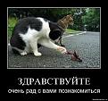 Нажмите на изображение для увеличения.

Название:	ocherednaja-podborka-demotivatorov-49-fo_29.jpg
Просмотров:	443
Размер:	52.5 Кб
ID:	3485081