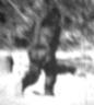 Нажмите на изображение для увеличения.

Название:	bigfoot_011.jpg
Просмотров:	829
Размер:	2.1 Кб
ID:	3485927