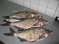 Нажмите на изображение для увеличения.

Название:	IMG_0101.jpg
Просмотров:	2120
Размер:	189.5 Кб
ID:	3486315