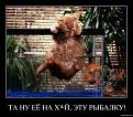 Нажмите на изображение для увеличения.

Название:	1294678577_s3img_146634562_2266_1.jpg
Просмотров:	300
Размер:	26.6 Кб
ID:	3491940