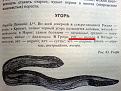 Нажмите на изображение для увеличения.

Название:	DSC00540.JPG
Просмотров:	780
Размер:	174.2 Кб
ID:	3493064