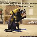 Нажмите на изображение для увеличения.

Название:	87fc47deea955ecffb1407a0ee846fee_full.jpg
Просмотров:	455
Размер:	124.9 Кб
ID:	3493281