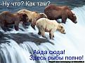 Нажмите на изображение для увеличения.

Название:	Kg.jpg
Просмотров:	328
Размер:	66.2 Кб
ID:	3493286