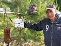 Нажмите на изображение для увеличения.

Название:	IMG_2778.jpg
Просмотров:	823
Размер:	106.4 Кб
ID:	3493584