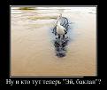 Нажмите на изображение для увеличения.

Название:	demotivatory_09.jpg
Просмотров:	1430
Размер:	47.1 Кб
ID:	3493791