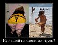 Нажмите на изображение для увеличения.

Название:	demotivatory_11.jpg
Просмотров:	1360
Размер:	58.2 Кб
ID:	3493793