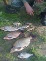 Нажмите на изображение для увеличения.

Название:	020720121279.jpg
Просмотров:	991
Размер:	201.3 Кб
ID:	3496511