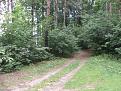 Нажмите на изображение для увеличения.

Название:	SDC10922.jpg
Просмотров:	1072
Размер:	166.7 Кб
ID:	3497117