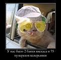 Нажмите на изображение для увеличения.

Название:	МР съездил к Bobrу.jpg
Просмотров:	284
Размер:	34.2 Кб
ID:	3498317