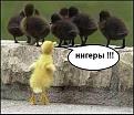 Нажмите на изображение для увеличения.

Название:	x_8491f197.jpg
Просмотров:	323
Размер:	40.8 Кб
ID:	3498326