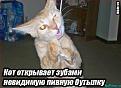 Нажмите на изображение для увеличения.

Название:	невид бутылка.jpg
Просмотров:	277
Размер:	59.1 Кб
ID:	3498539