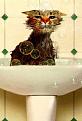 Нажмите на изображение для увеличения.

Название:	funny-cats-50.jpg
Просмотров:	257
Размер:	16.9 Кб
ID:	3498659