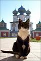 Нажмите на изображение для увеличения.

Название:	MR.jpg
Просмотров:	279
Размер:	76.5 Кб
ID:	3499007