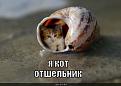 Нажмите на изображение для увеличения.

Название:	kot-otshelnik_1287686872.jpg
Просмотров:	279
Размер:	108.8 Кб
ID:	3499106