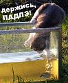 Нажмите на изображение для увеличения.

Название:	b870f.jpg
Просмотров:	294
Размер:	36.6 Кб
ID:	3499300