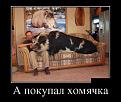 Нажмите на изображение для увеличения.

Название:	demotivatory_26.jpg
Просмотров:	1357
Размер:	59.6 Кб
ID:	3499863