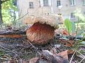 Нажмите на изображение для увеличения.

Название:	IMG_8848.jpg
Просмотров:	826
Размер:	196.7 Кб
ID:	3500023