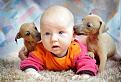 Нажмите на изображение для увеличения.

Название:	babies_70.jpg
Просмотров:	296
Размер:	45.3 Кб
ID:	3500367
